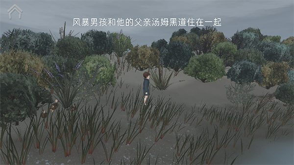 男孩与鹈鹕截图3