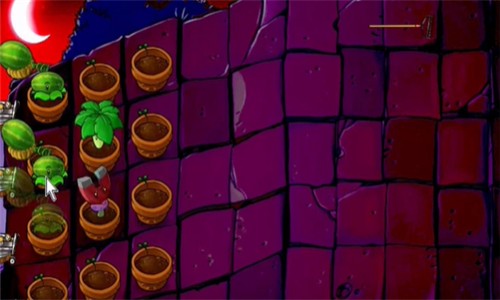 pvz活死人之园截图5