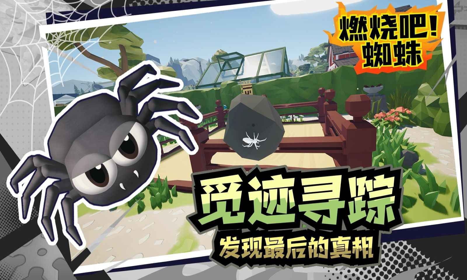 燃烧吧蜘蛛正式版截图2