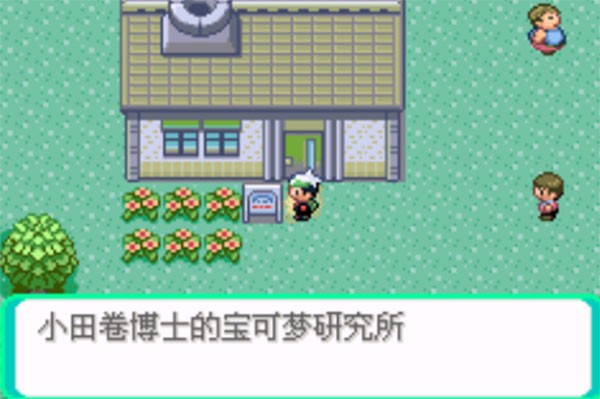 口袋妖怪傳說(shuō)綠寶石手機(jī)版截圖