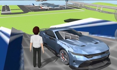 3D驾驶课2正版截图3