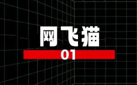 网飞猫