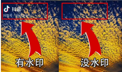 全球视频去水印