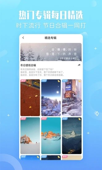 小鳥壁紙圖片截圖