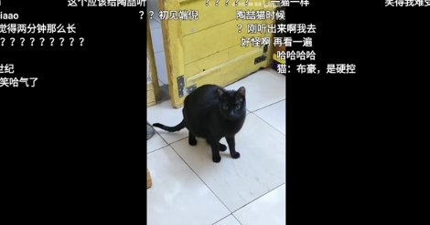 BBLL客戶端截圖