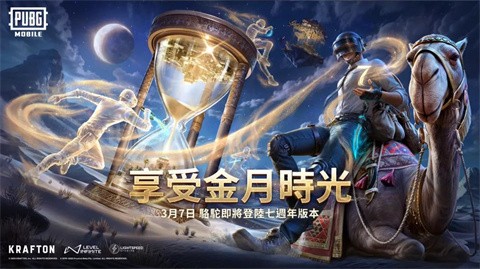 pubg国际服官方版截图3