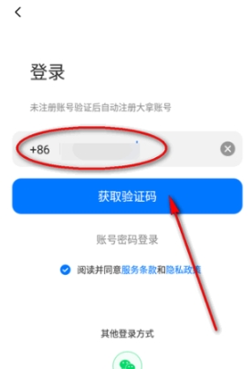 大拿監(jiān)控截圖