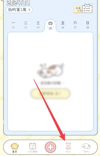 口袋周計劃打卡截圖