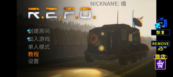 repo仿制版截圖