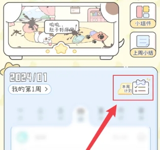 口袋周計劃打卡截圖