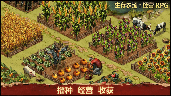 生存農(nóng)場(chǎng)經(jīng)營(yíng)rpg中文版截圖