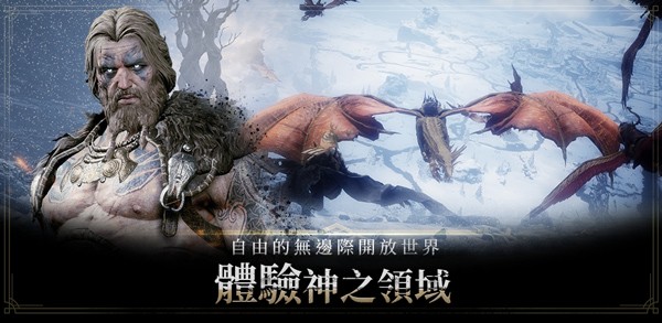 奧丁神叛國際服截圖