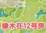 心动小镇5.9溜溜橡木与无瑕萤石位置