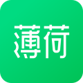 薄荷健康减肥