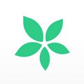 TimeTree时间树