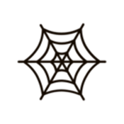 蛛网X