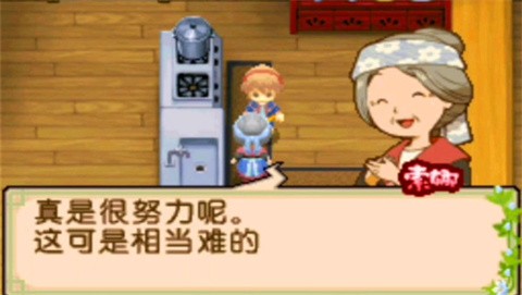 牧場物語雙子村安卓版截圖