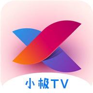 小极tv电视版