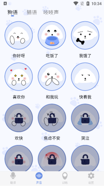 小白交流翻譯截圖
