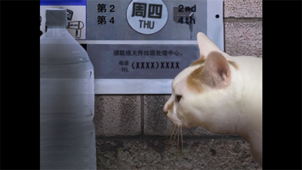 翌日貓之怪奇譚截圖