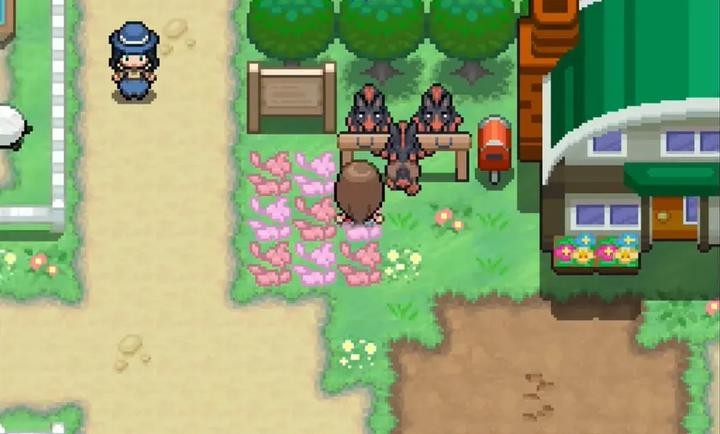 寶可夢(mèng)蛋白石手機(jī)版截圖