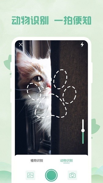 智能掃描王截圖