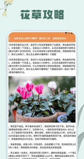 草錄植物識(shí)別截圖