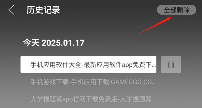 飛視瀏覽器領(lǐng)先版截圖
