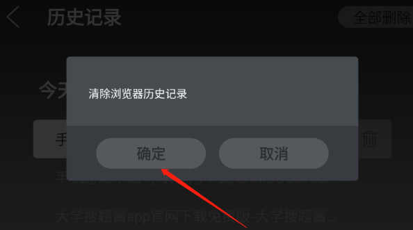 飛視瀏覽器領(lǐng)先版截圖