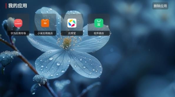 挽风影视TV版截图