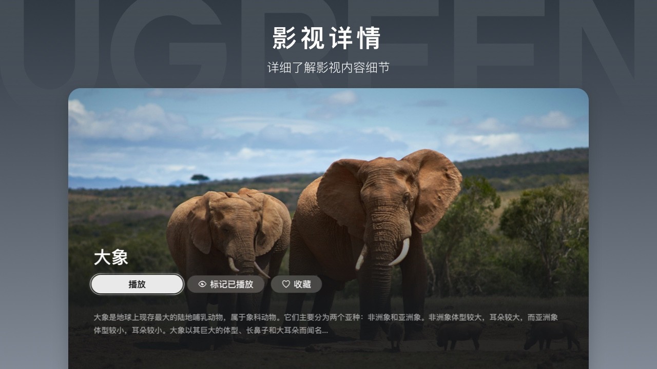 綠聯(lián)云TV截圖