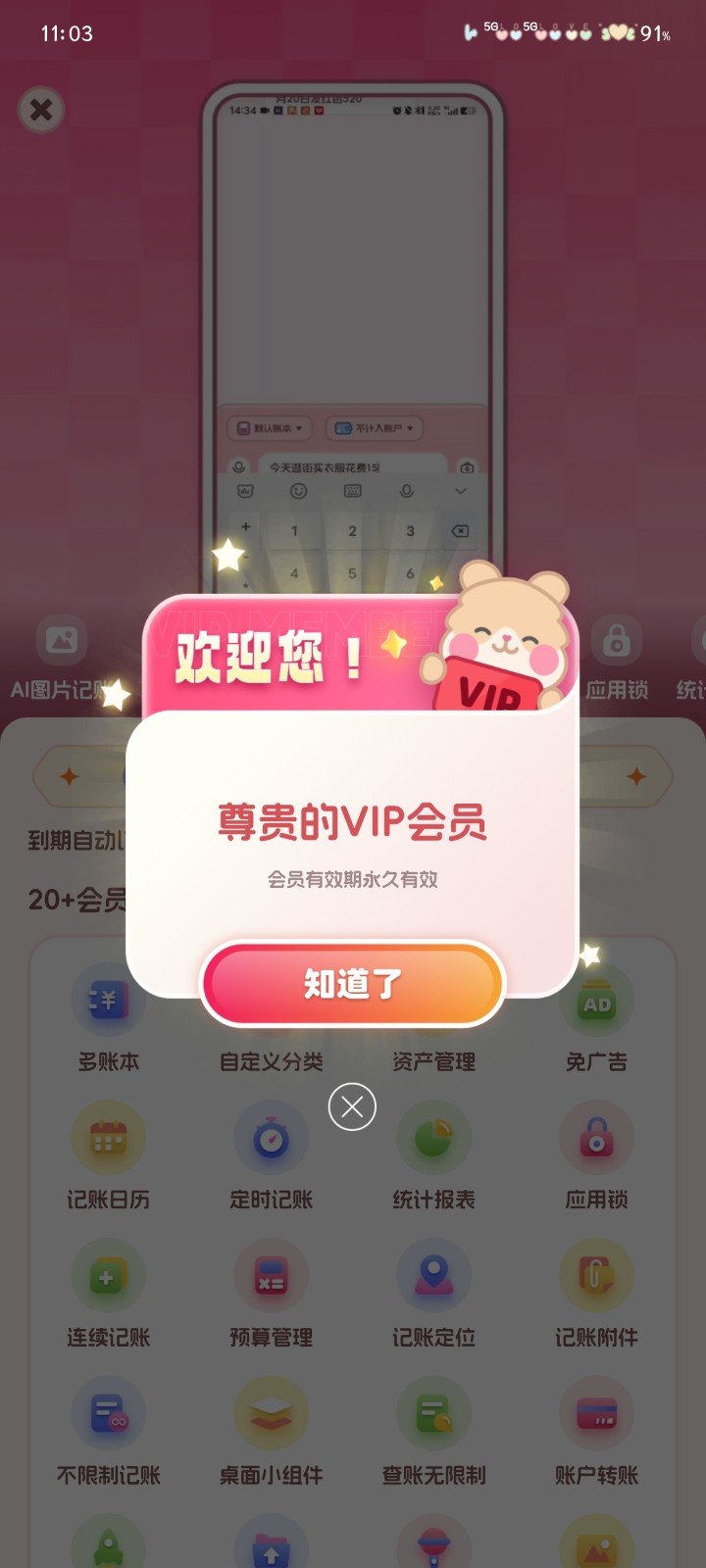 記賬本Book解鎖VIP截圖