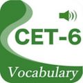CET6精選詞匯
