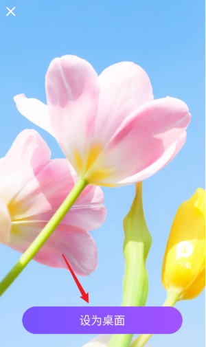 樂(lè)動(dòng)島截圖