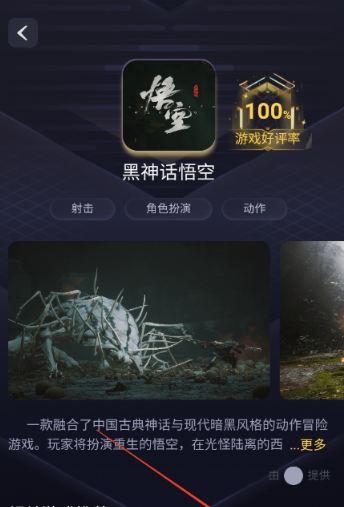 閃電云游戲截圖