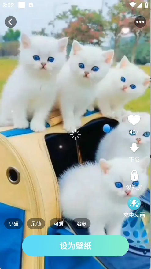 免費超清壁紙大全截圖