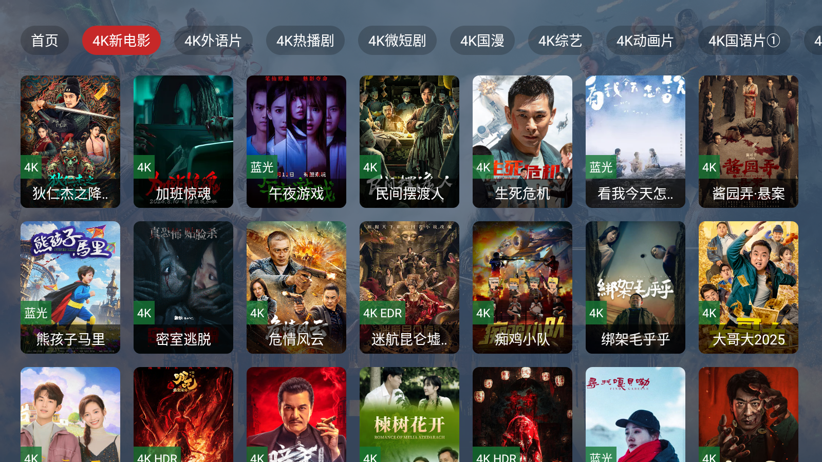 4K視界盒子版截圖