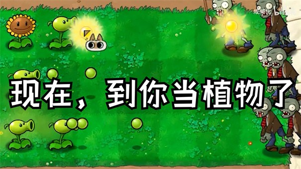 植物大戰(zhàn)僵尸繁瑣版手機(jī)版截圖