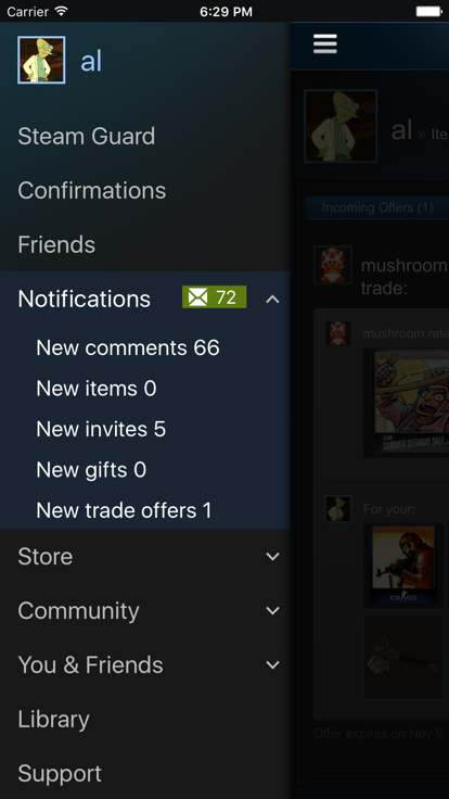 steam官方正版截圖