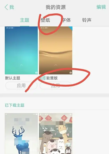 oppo主題商店動態(tài)壁紙截圖