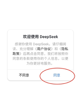 DeepSeek客戶端截圖