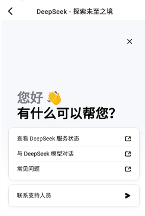 DeepSeek客戶端截圖