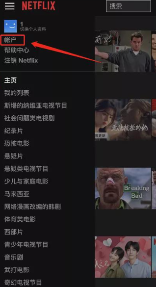 網(wǎng)飛netflix電視劇截圖