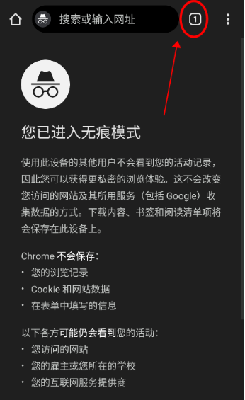 Chrome瀏覽器中文版截圖