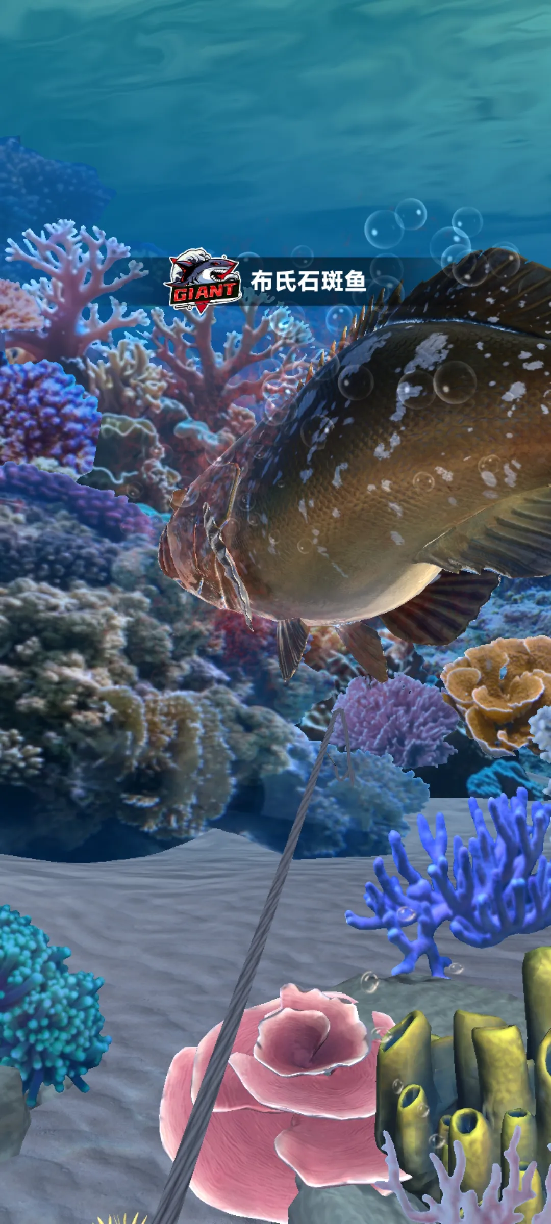 垂釣旅游手機版截圖