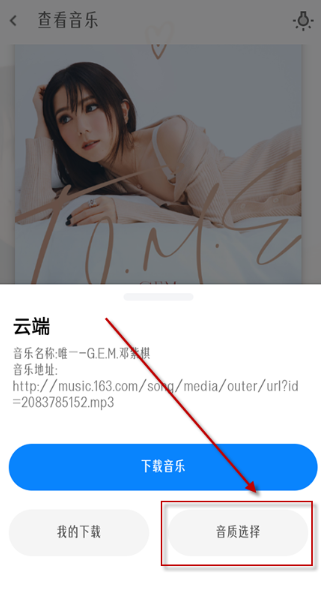 極樂(lè)音樂(lè)搜索器截圖