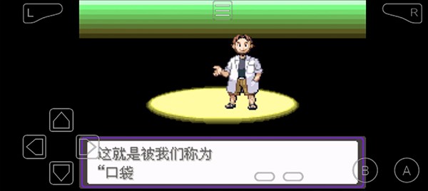 口袋妖怪漆黑的魅影內(nèi)置菜單截圖