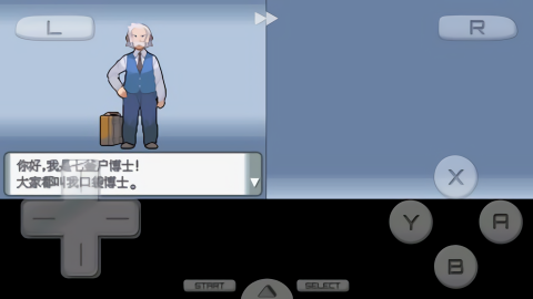 口袋妖怪鉆石截圖