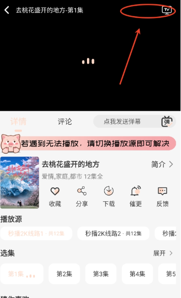 小豬4K追劇截圖
