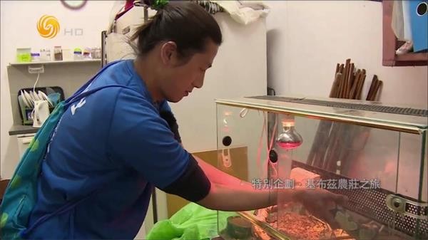 大視界tv電視版截圖